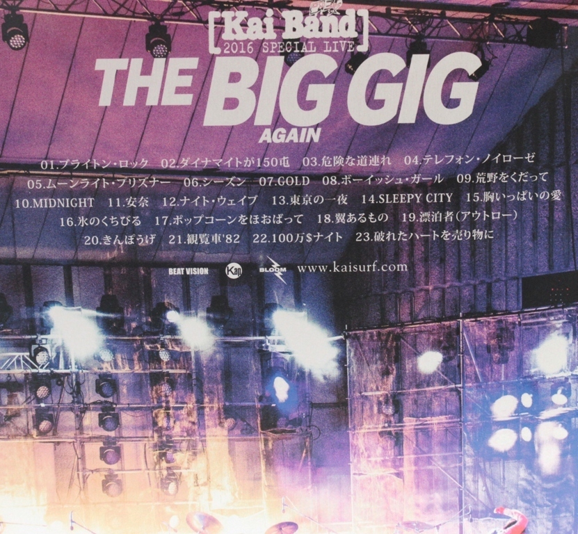 甲斐バンド　THE BIG GIG DVD比較的きれいです