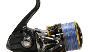 Thumbnail of post image 063